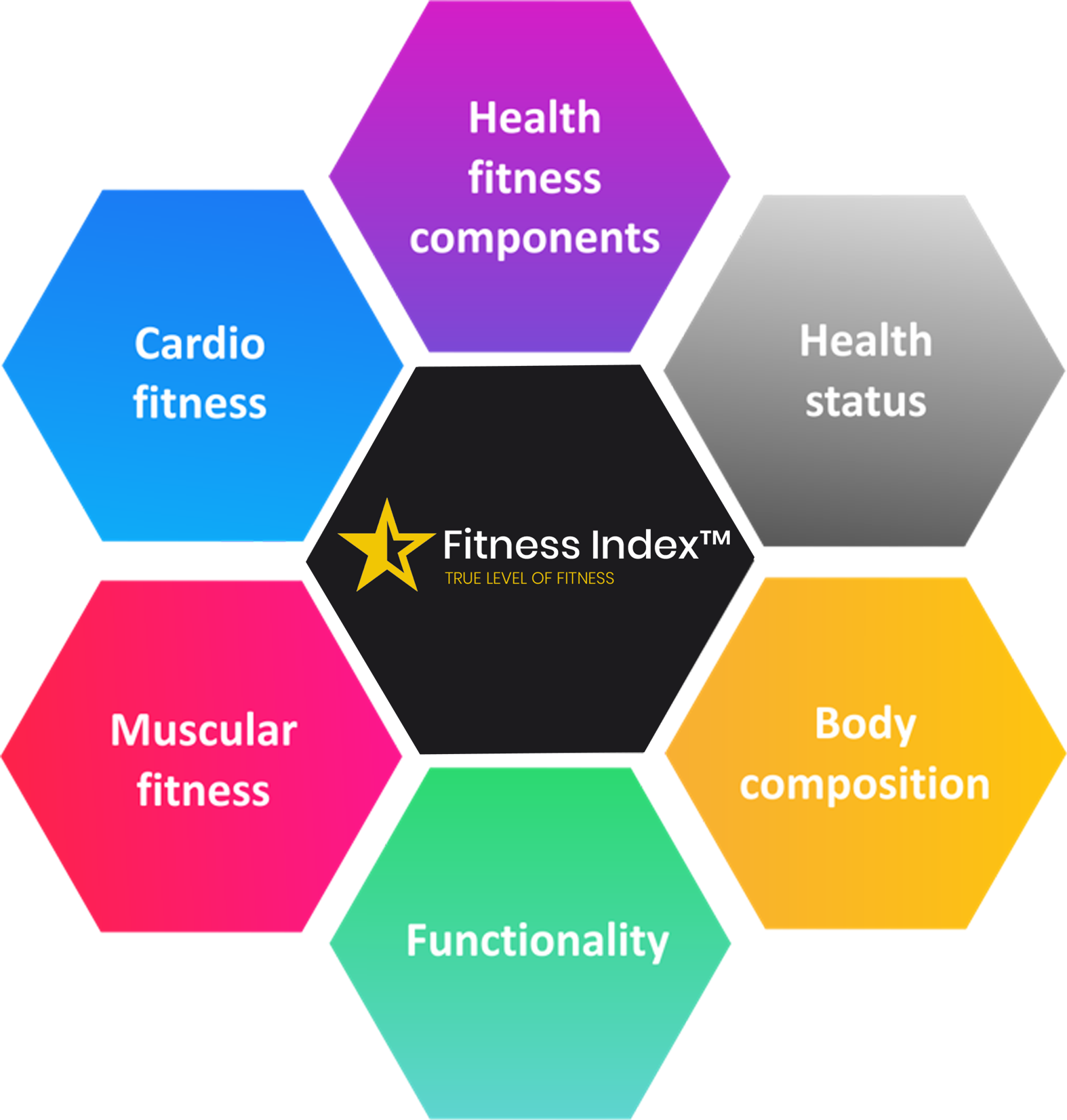 Fitness Factors: 5 Important Components of Fitness